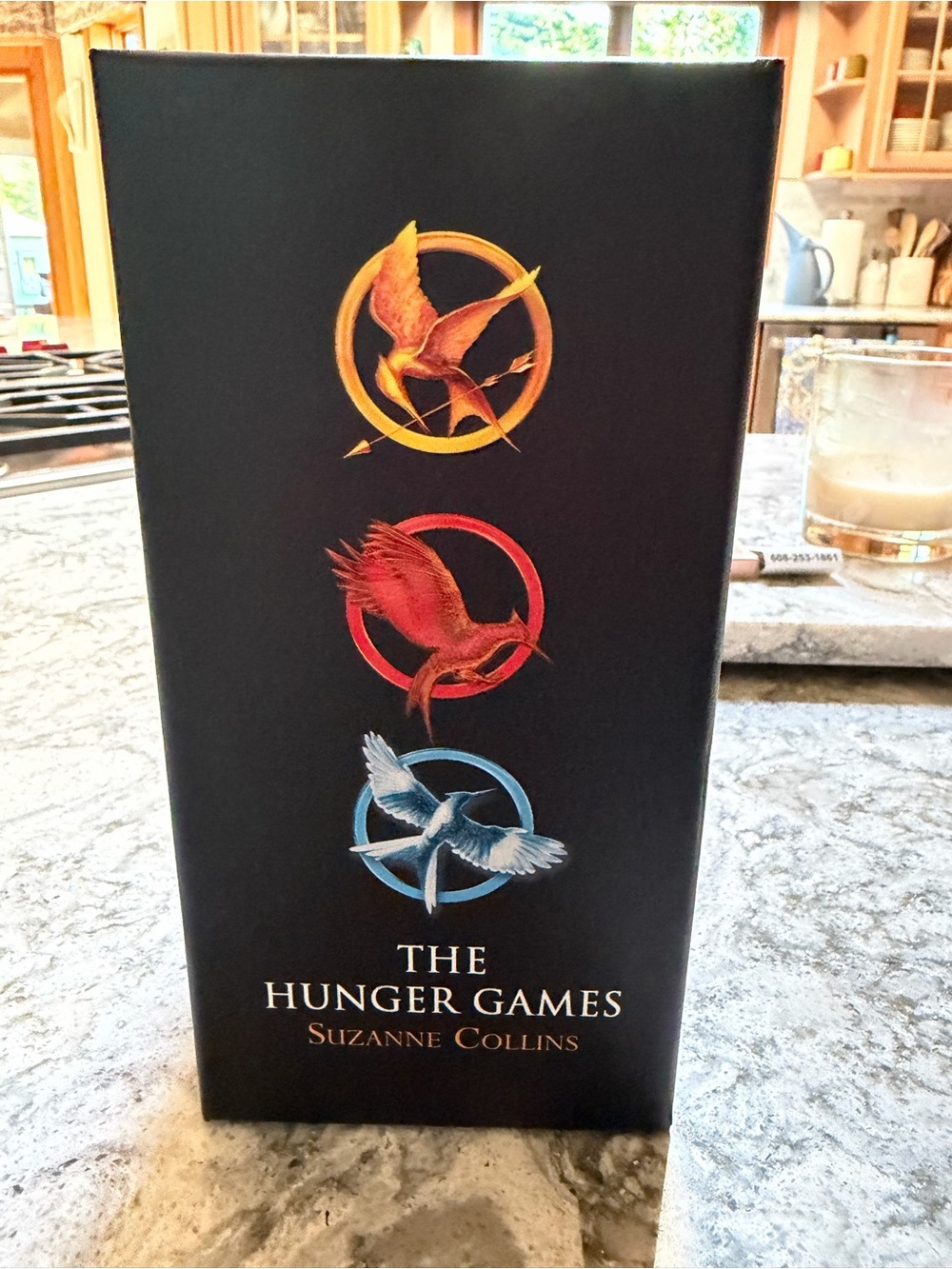 Scholastic The Hunger Games Trilogy Box Set - Black with Gold Red Blue Emblems - Picture 2 of 7